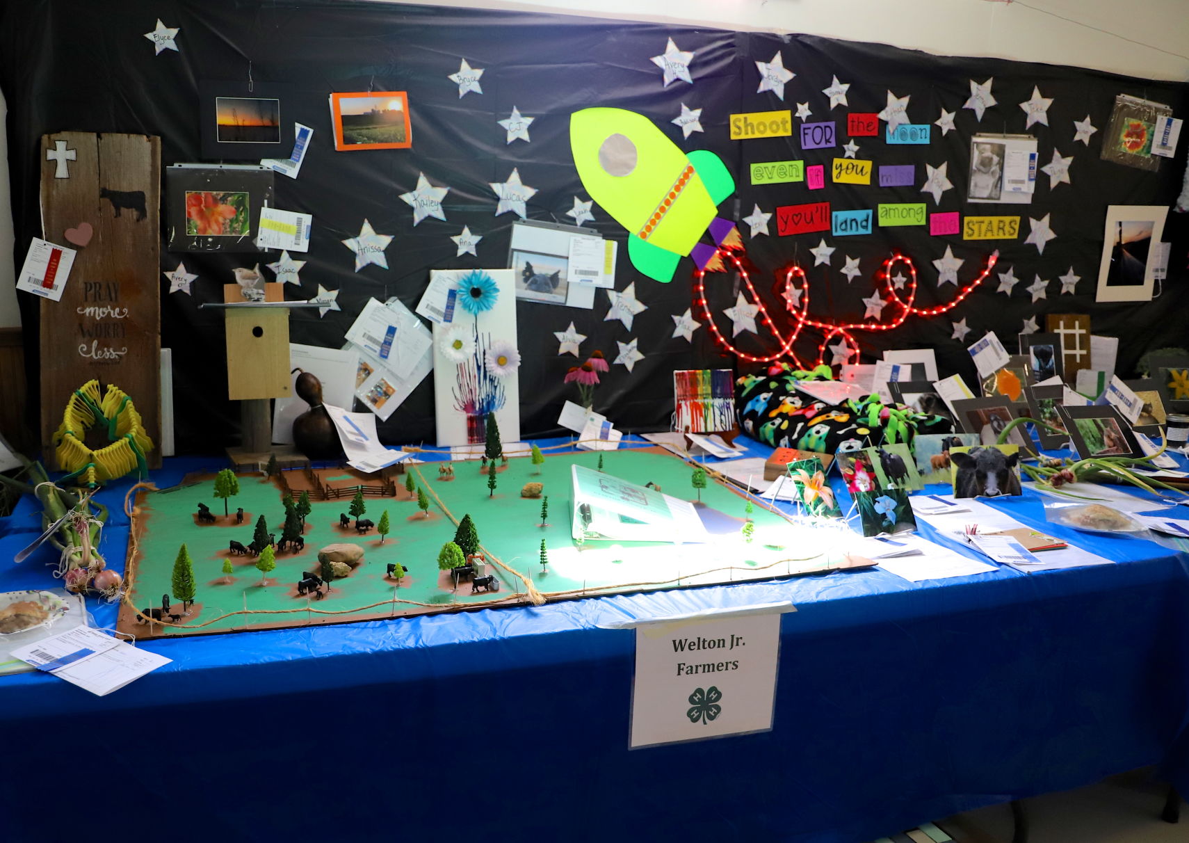 4-H display